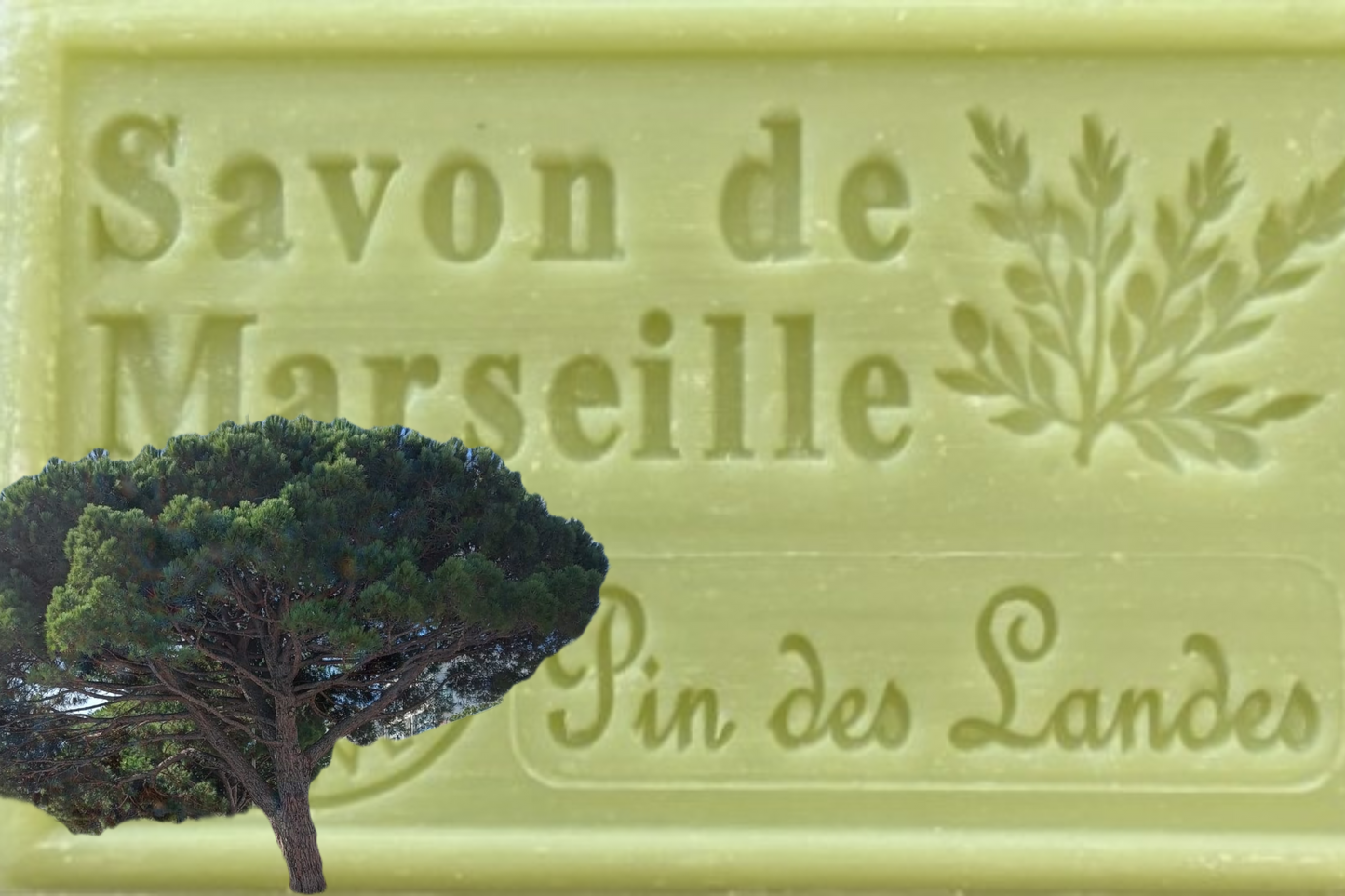 Heide dennen - Savon de Marseille - BIO